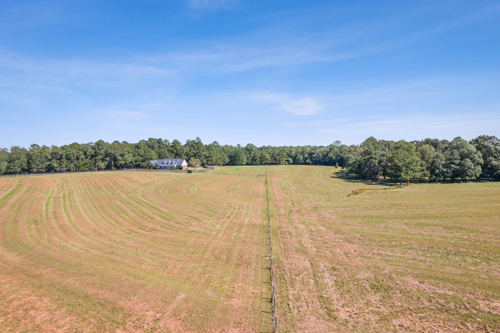 Rolling pastures with mature tree line