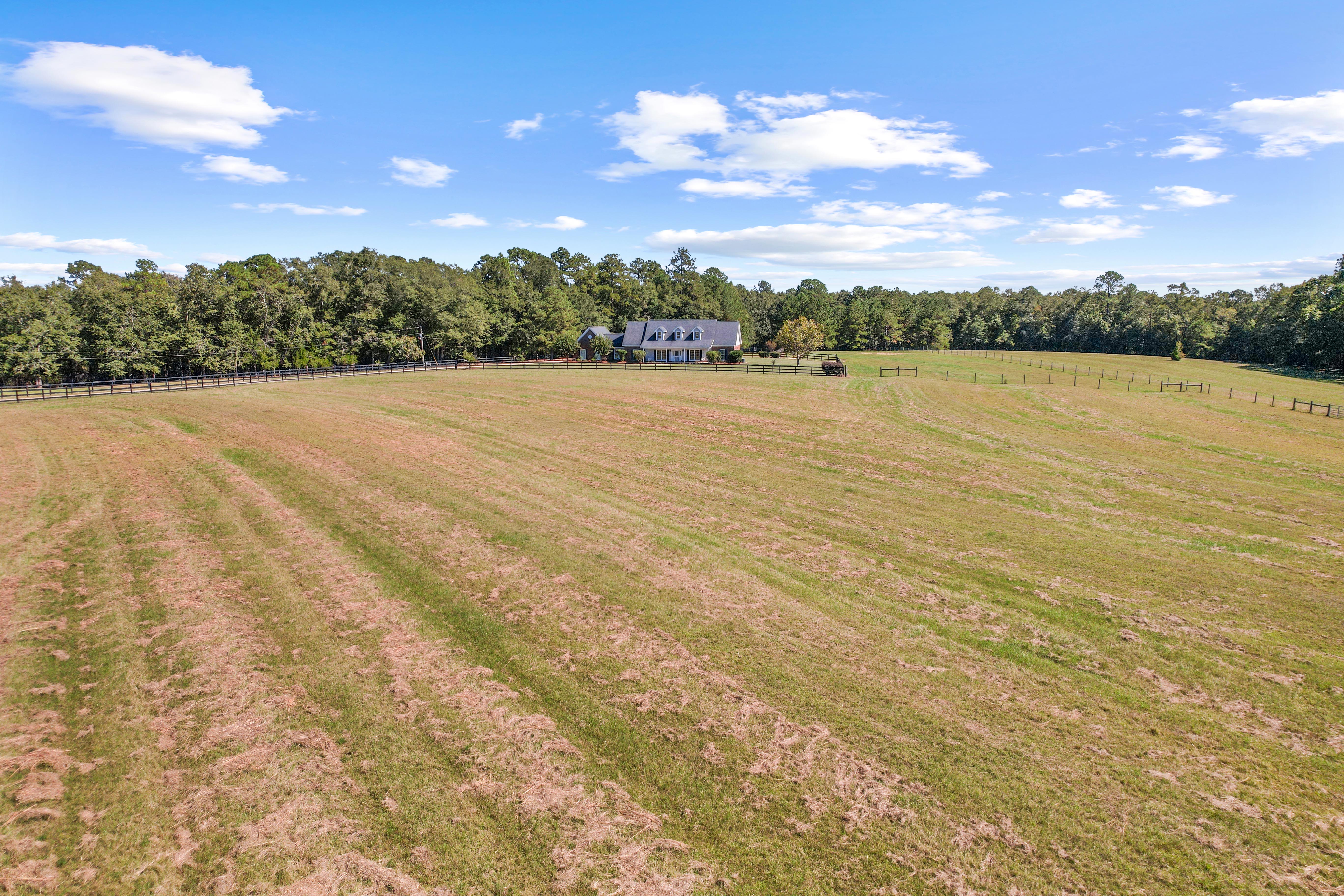 Rolling fenced pasture with shaded area toward the rear